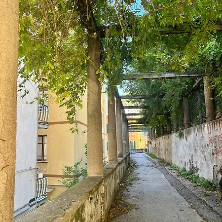 Apartment The Secret Garden